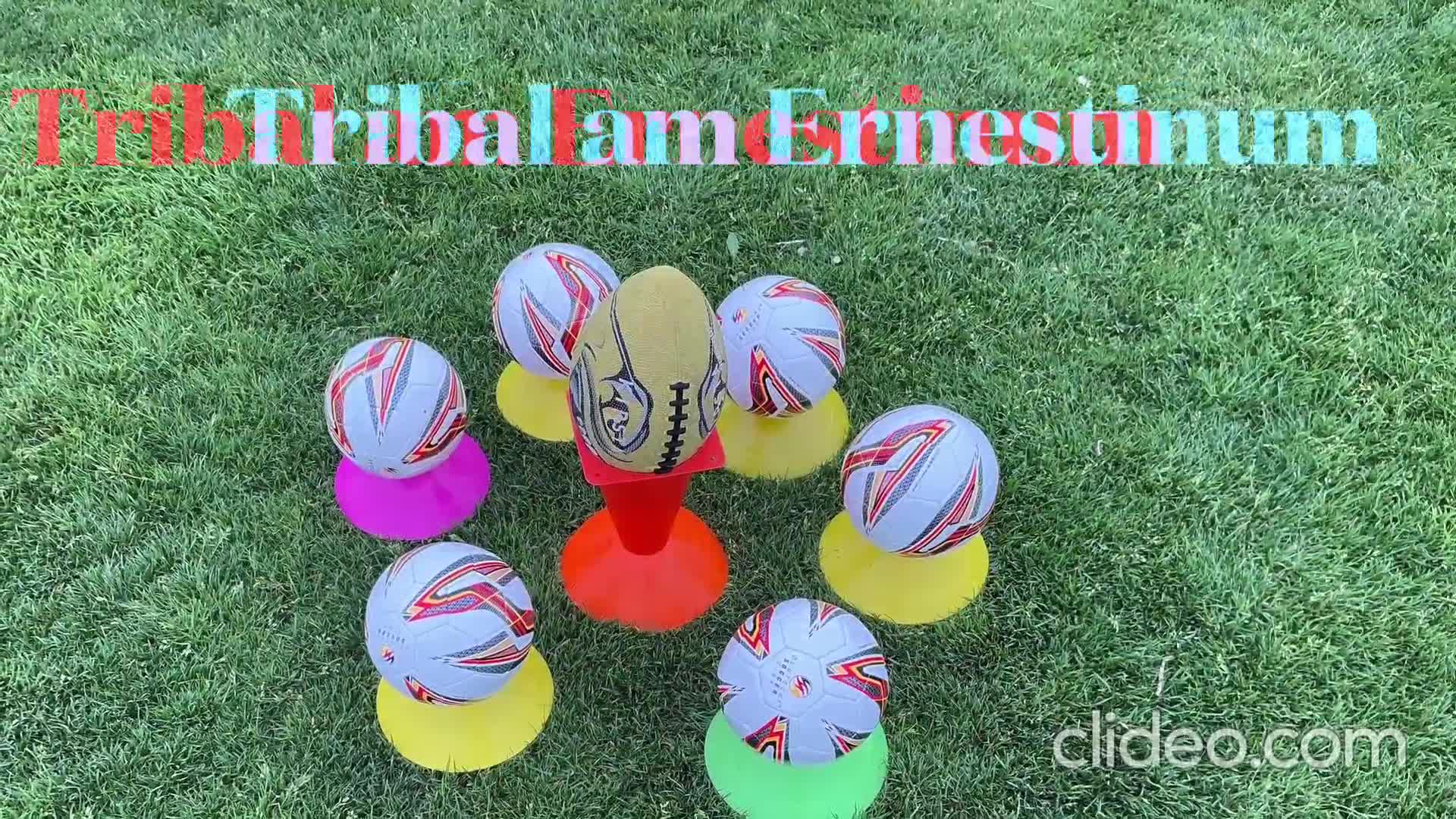 Tribal am Ernestinum