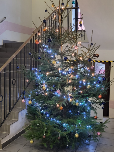 Today we decorated our Christmas!